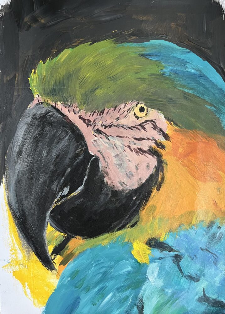 Papagei | 30 x 40 cm | Acryl auf Papier | 2024