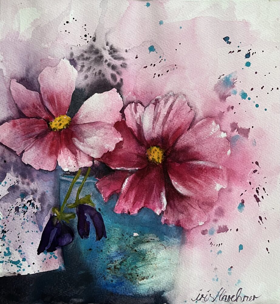 Cosmea im Topf | 29 x 29 cm | Aquarell auf Papier | 2024
