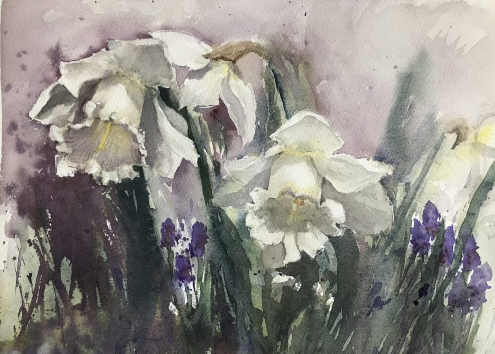 Narzissen | 27 x 37 cm | Aquarell auf Papier | 2023