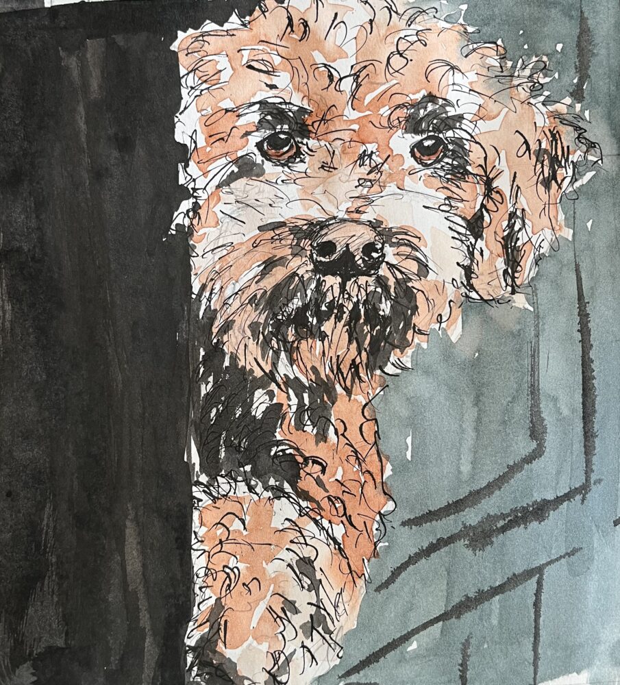 Balko | 21 x 26 cm | Tusche auf Papier | 2025