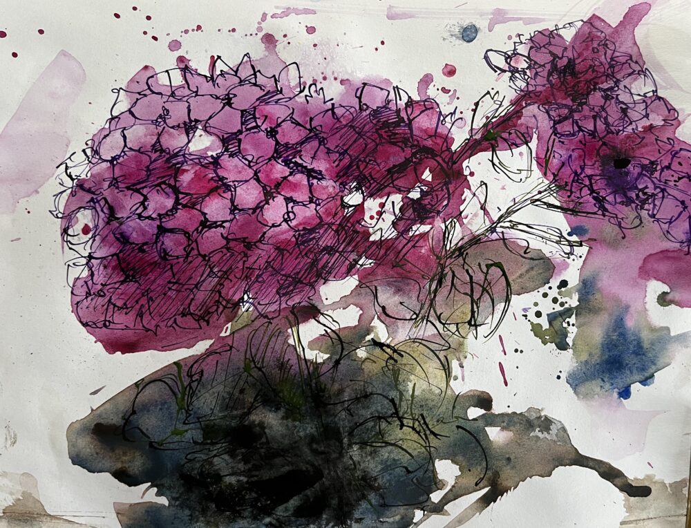 Hortensie | 20 x 27 cm | Tusche auf Papier | 2025