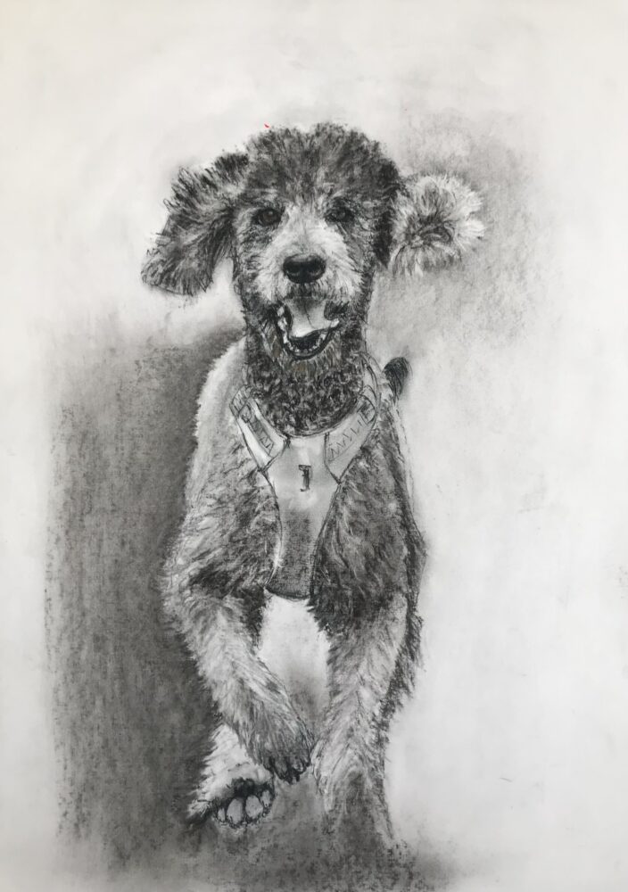 Jolie | 50 x 40 cm | Kohle auf Papier | 2023