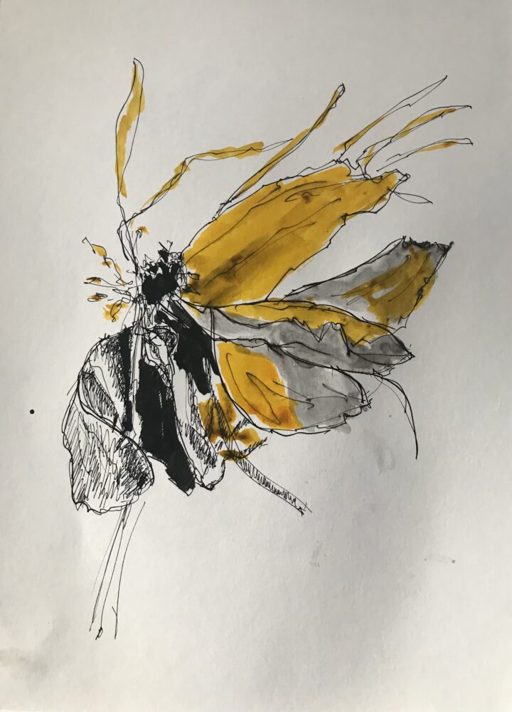 Welkende Blüte | 21 x 28 cm | Tusche auf Papier | 2023