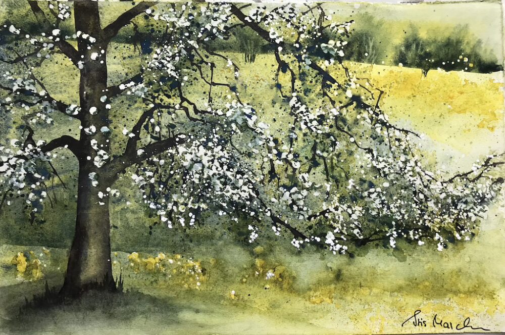 Blühender Birnbaum | 32 x 48 cm | Aquarell auf Papier | 2022