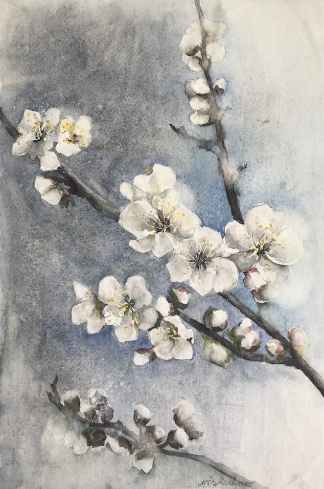 Blühender Zweig | 32 x 48 cm | Aquarell auf Papier | 2022
